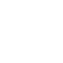 feature-item-1